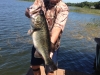 Gator's Nine Lb -three Qtr Lb Lg Mouth Bass - Caught 5-2020 in Lake Yale, FL