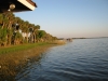 gator-img_0303