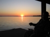 gator-img_0308