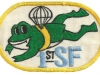 1SFG Scuba Patch